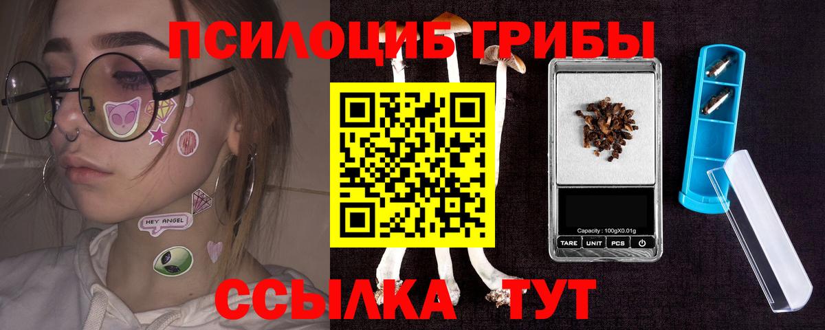 Псилоцибиновые грибы Cubensis  Галлюциногенные грибы мицелий  Мурино  Вход с VPN 